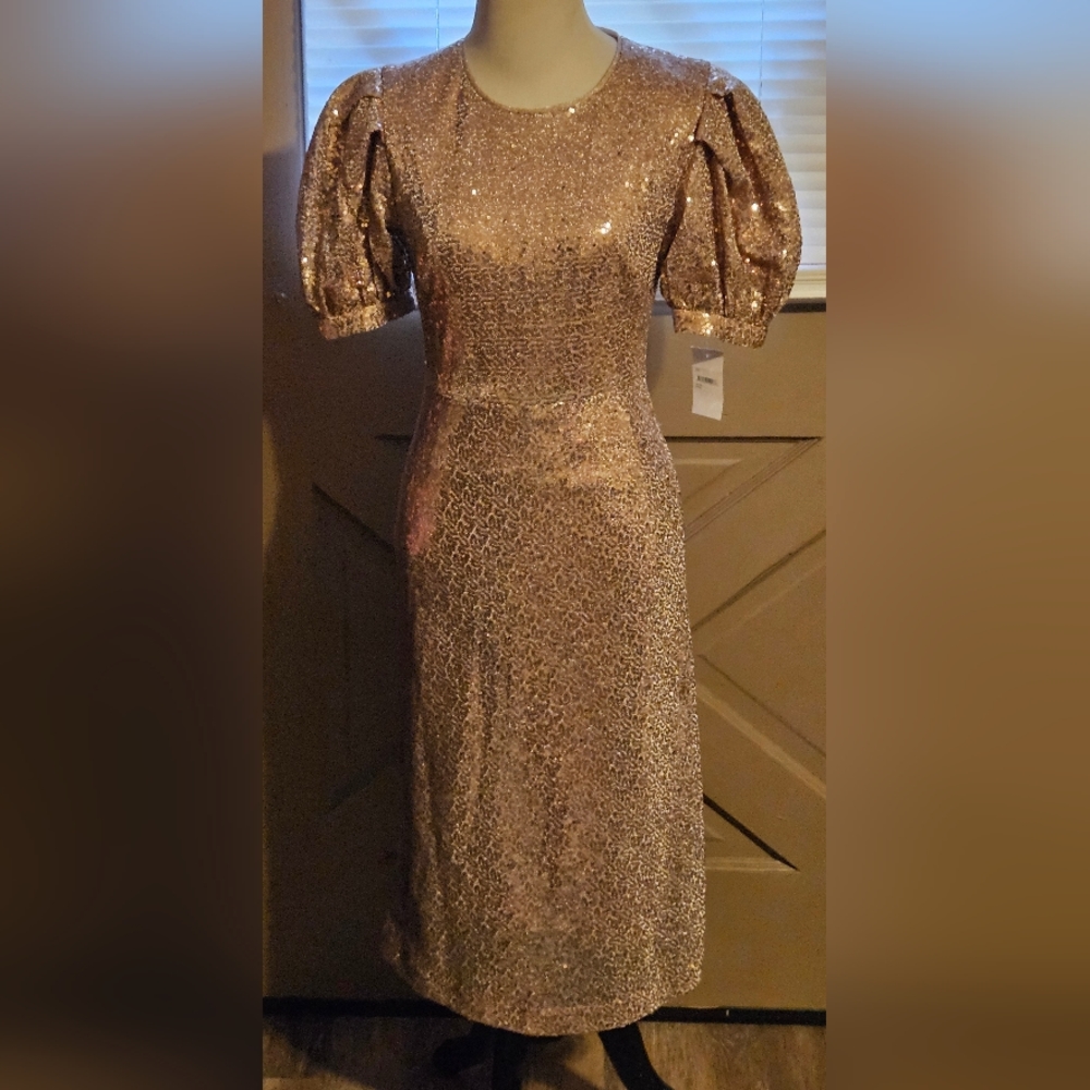 NWT Rachel Parcell Rose Sequin Puff Shoulder Midi Dress XS - Picture 6 of 8